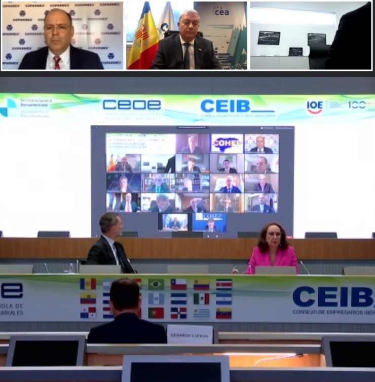 Una captura de pantalla de la reunió telemàtica de la CEA aquest dimecres.